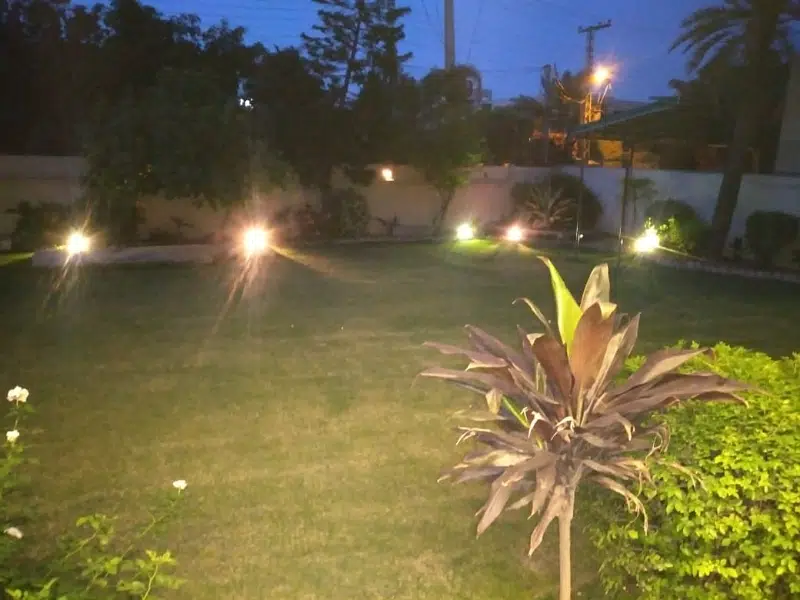 Picture of the Property