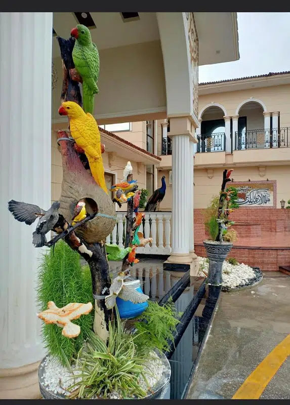 Picture of the Property