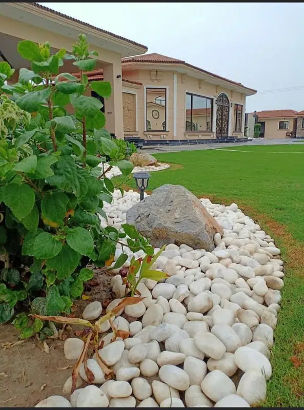 Picture of the Property