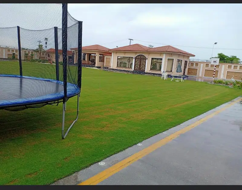 Picture of the Property