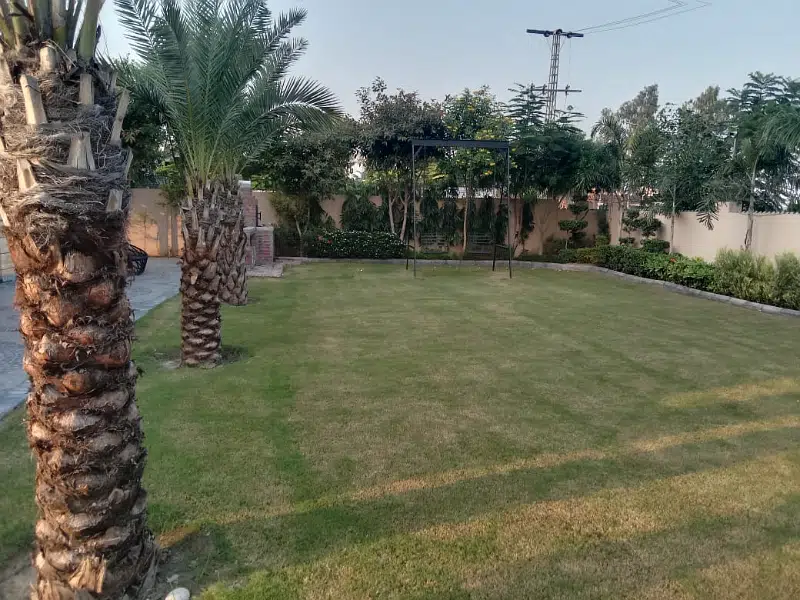 Picture of the Property