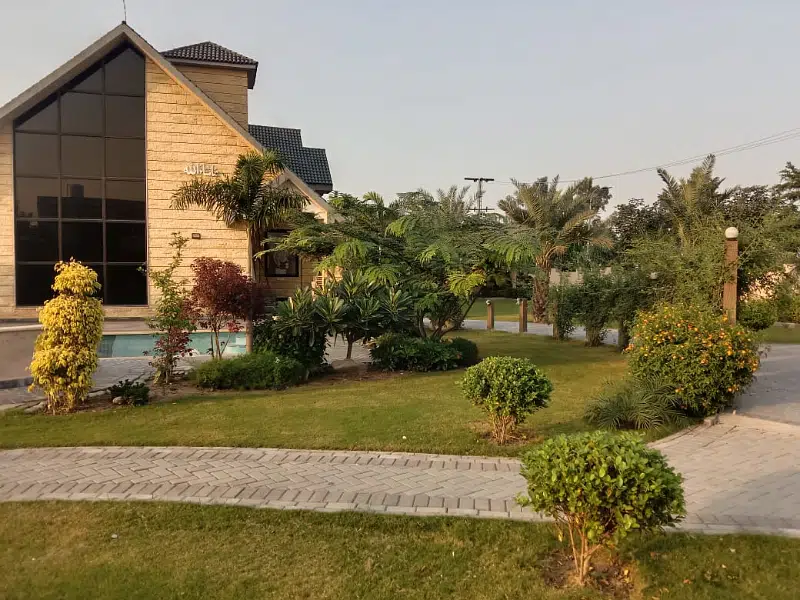 Picture of the Property