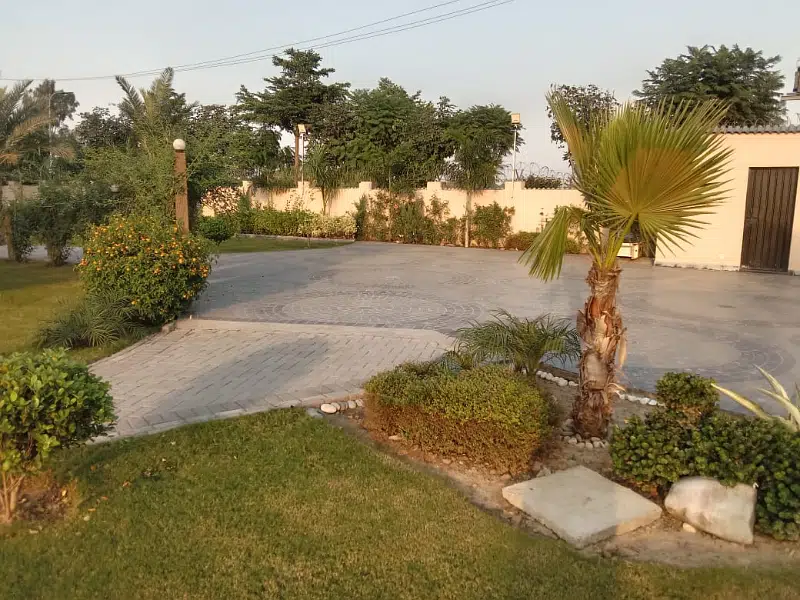 Picture of the Property