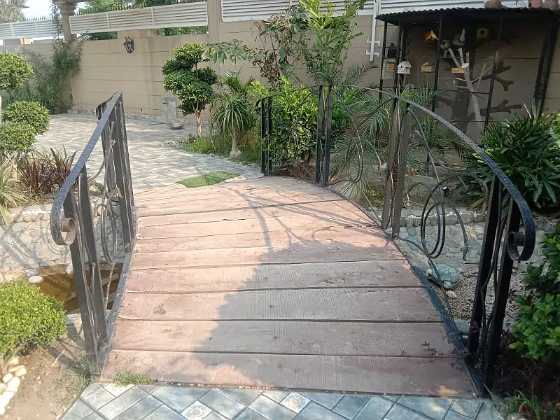 Picture of the Property