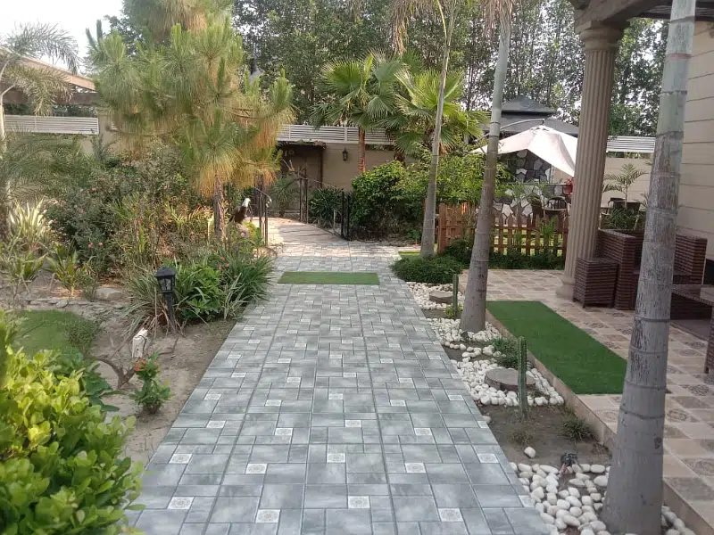 Picture of the Property