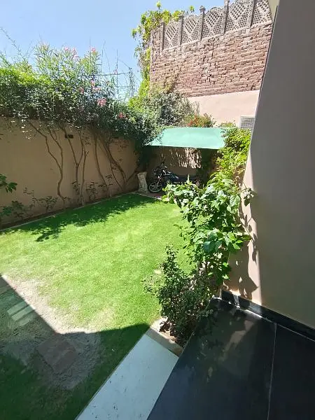 Picture of the Property