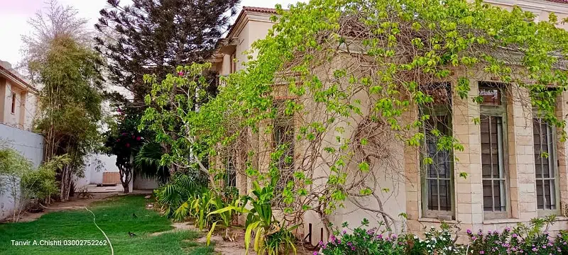 Picture of the Property