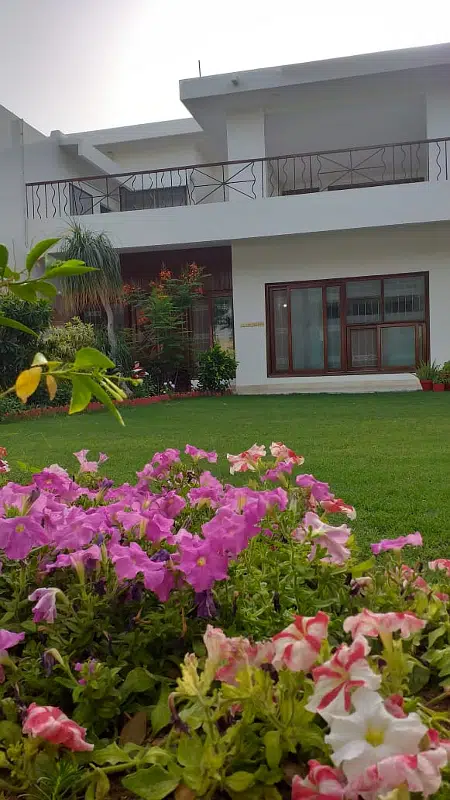 Picture of the Property