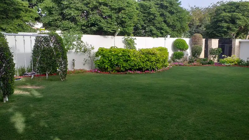 Picture of the Property
