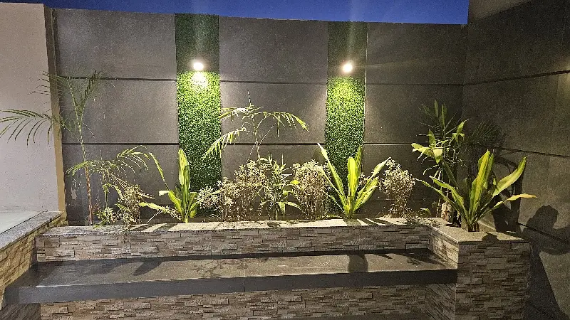 Picture of the Property