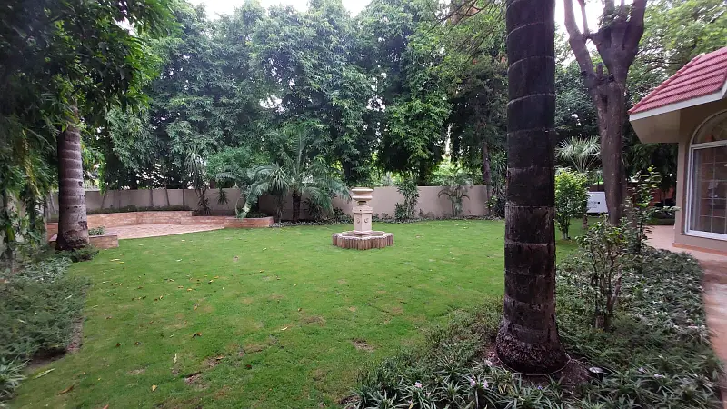 Picture of the Property