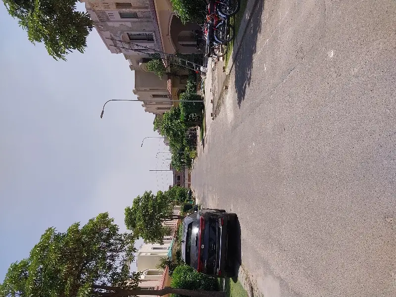 Picture of the Property