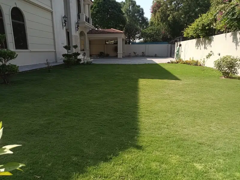Picture of the Property
