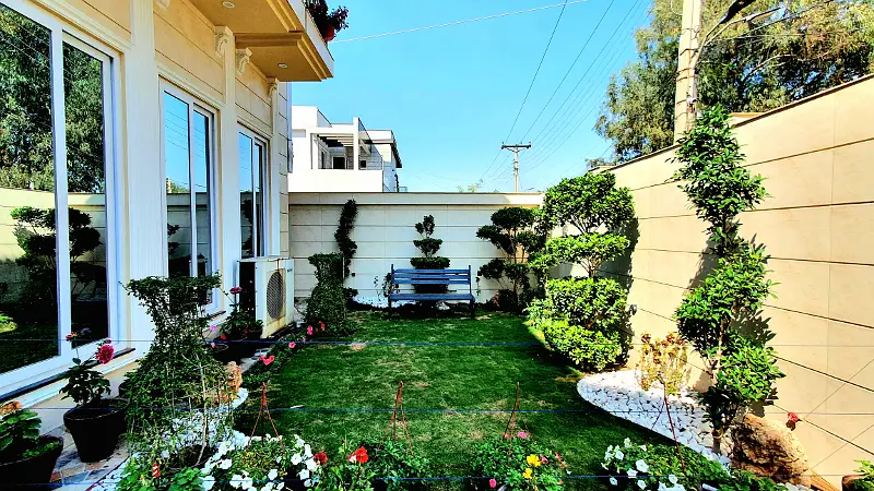 Picture of the Property
