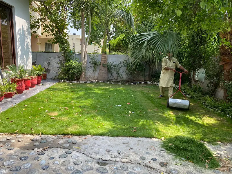 Picture of the Property