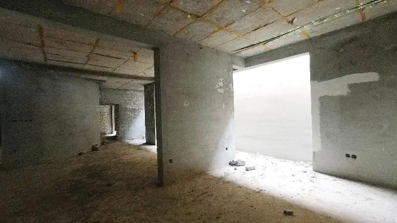 Picture of the Property