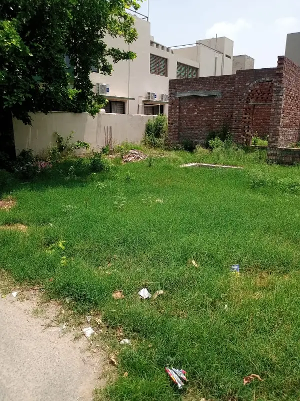 Picture of the Property