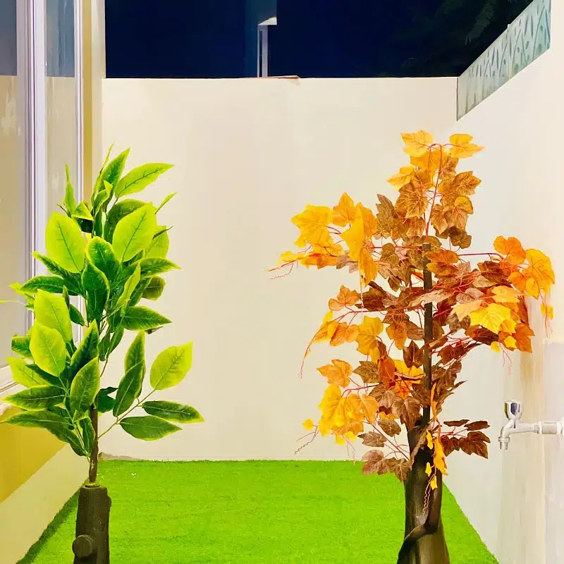 Picture of the Property