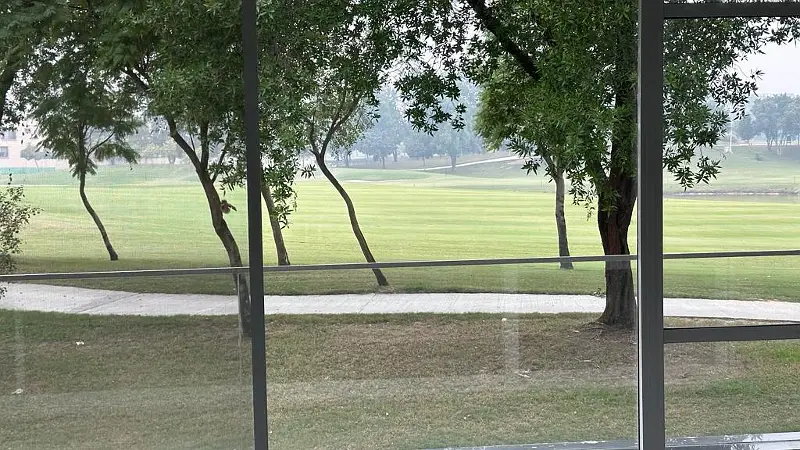 Picture of the Property