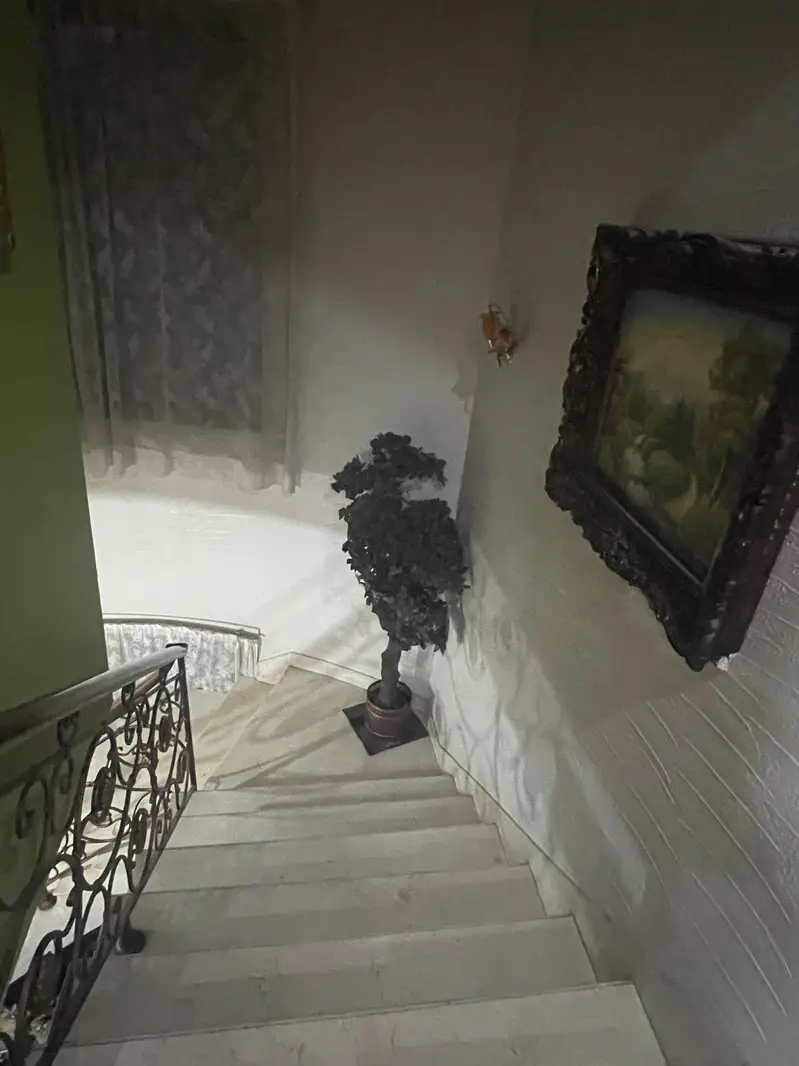 Picture of the Property