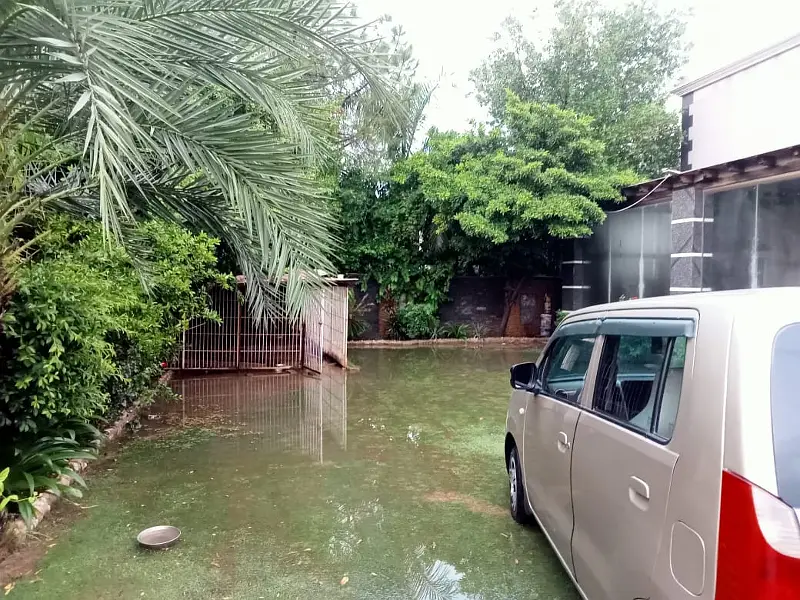 Picture of the Property