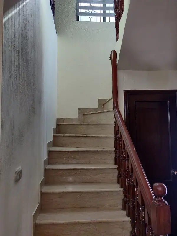 Picture of the Property