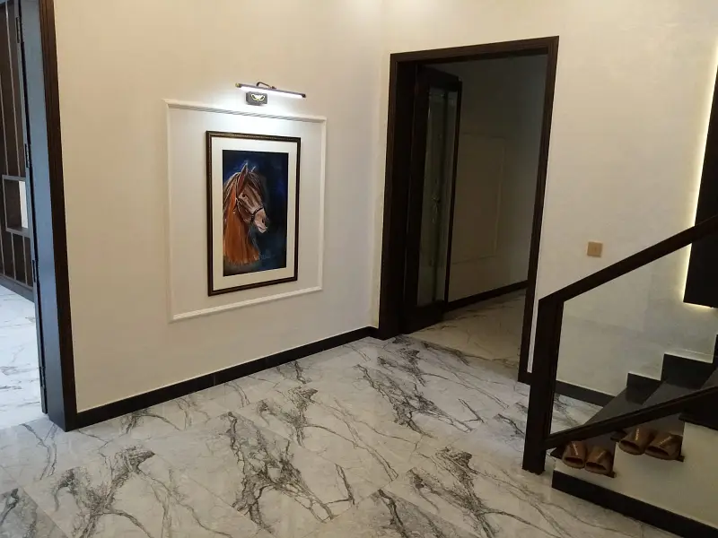 Picture of the Property