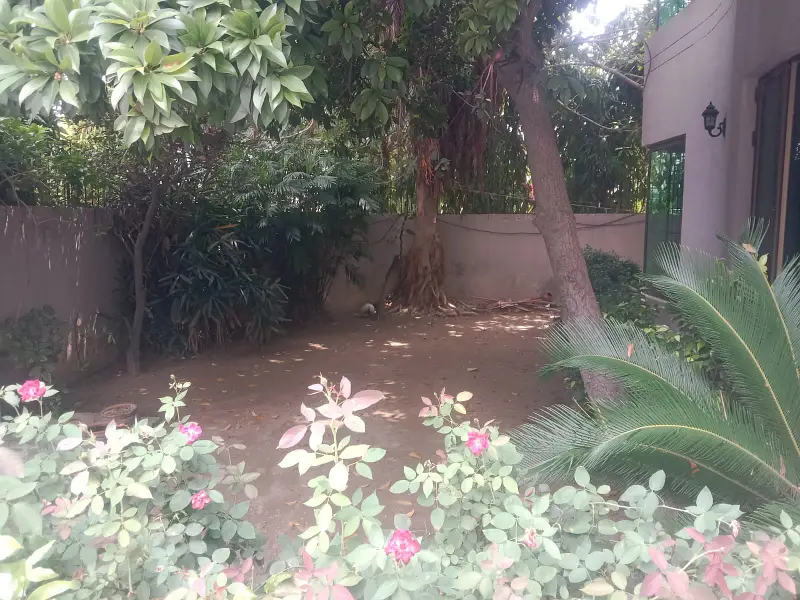 Picture of the Property