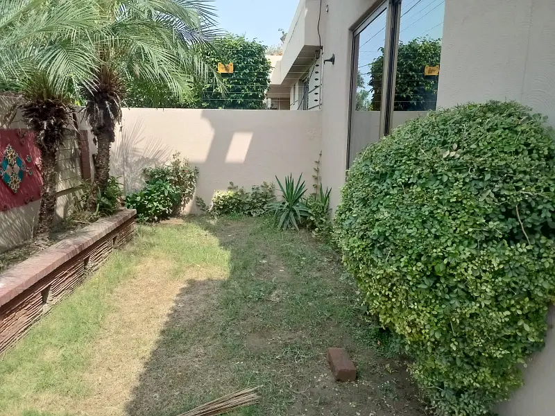 Picture of the Property