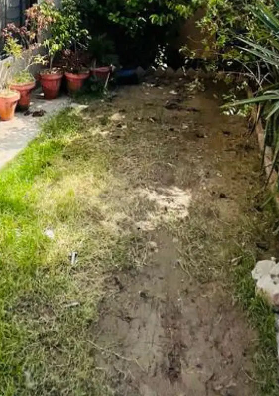 Picture of the Property