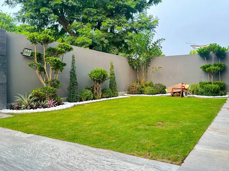Picture of the Property