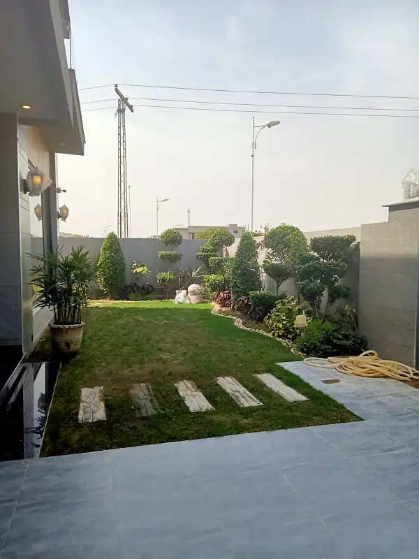 Picture of the Property