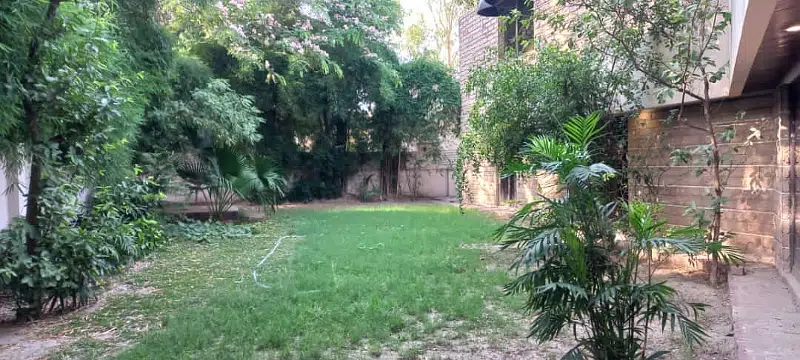 Picture of the Property