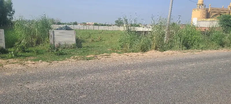 Picture of the Property