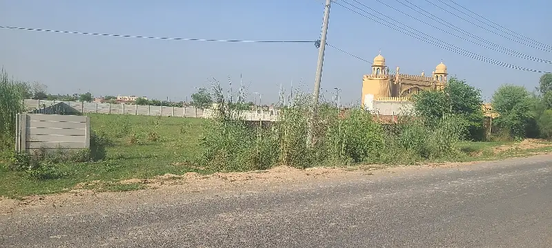 Picture of the Property