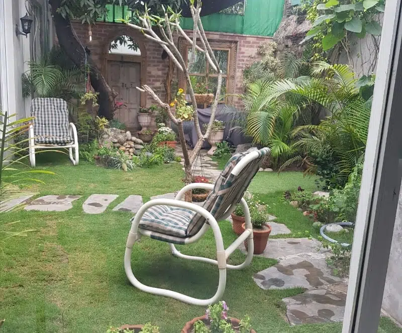 Picture of the Property