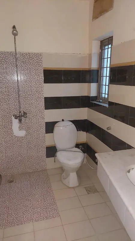 Picture of the Property