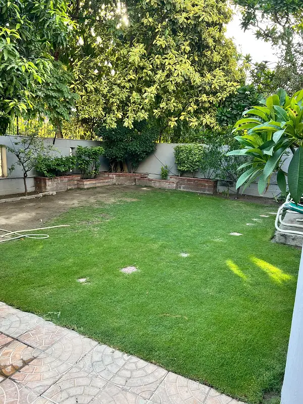 Picture of the Property