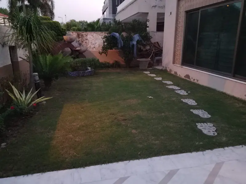 Picture of the Property