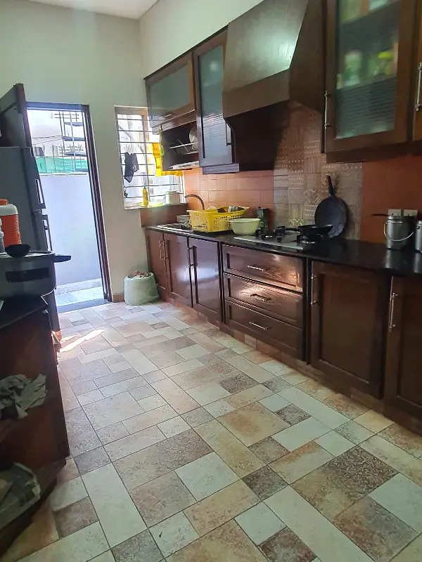 Picture of the Property