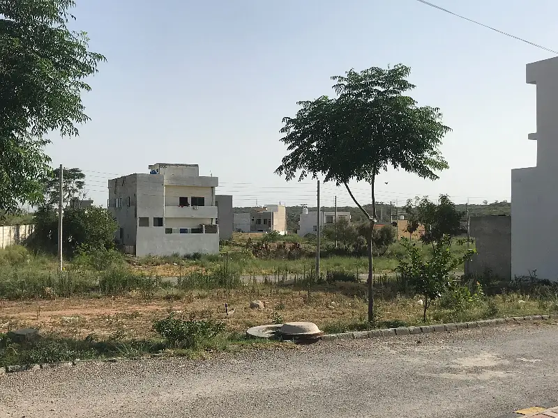 Picture of the Property