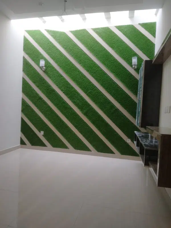 Picture of the Property
