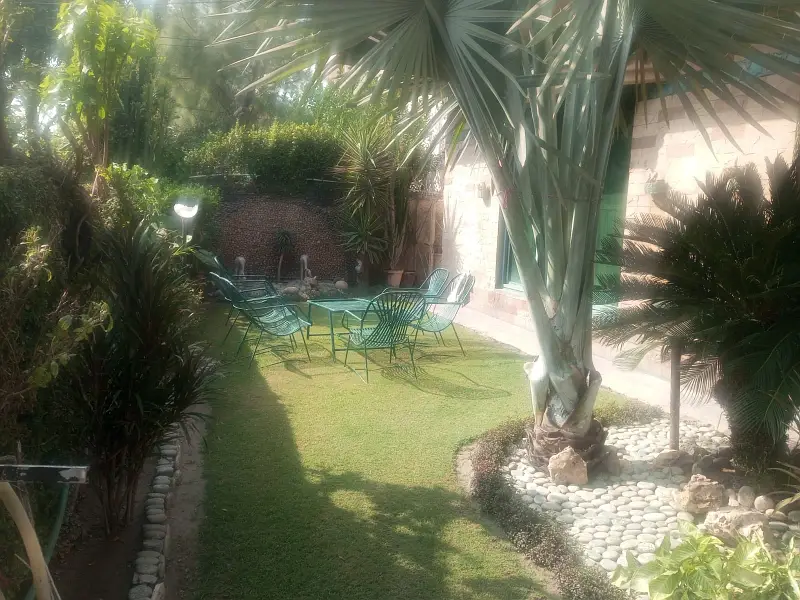Picture of the Property
