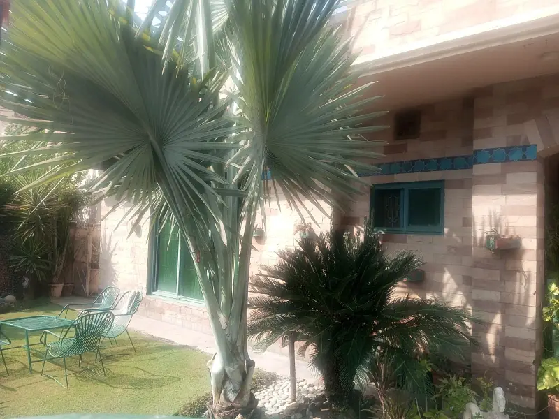 Picture of the Property
