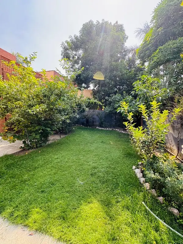 Picture of the Property