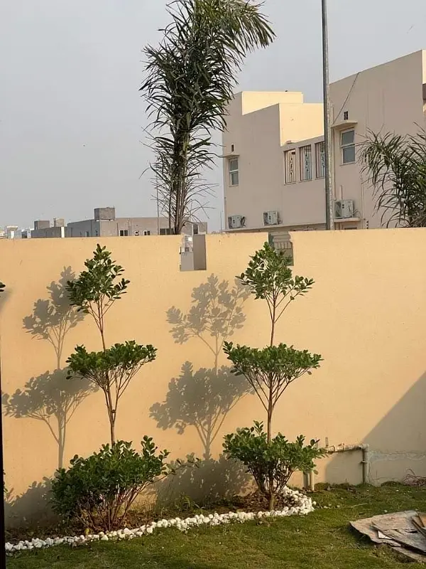 Picture of the Property