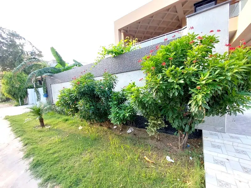 Picture of the Property