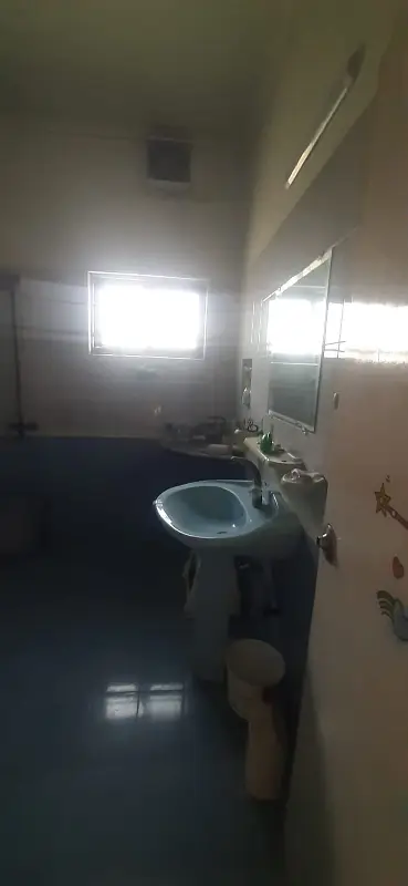 Picture of the Property