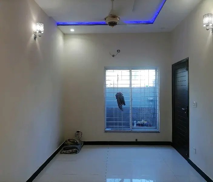 Picture of the Property