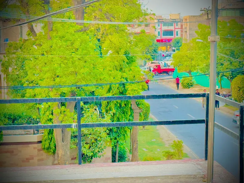 Picture of the Property